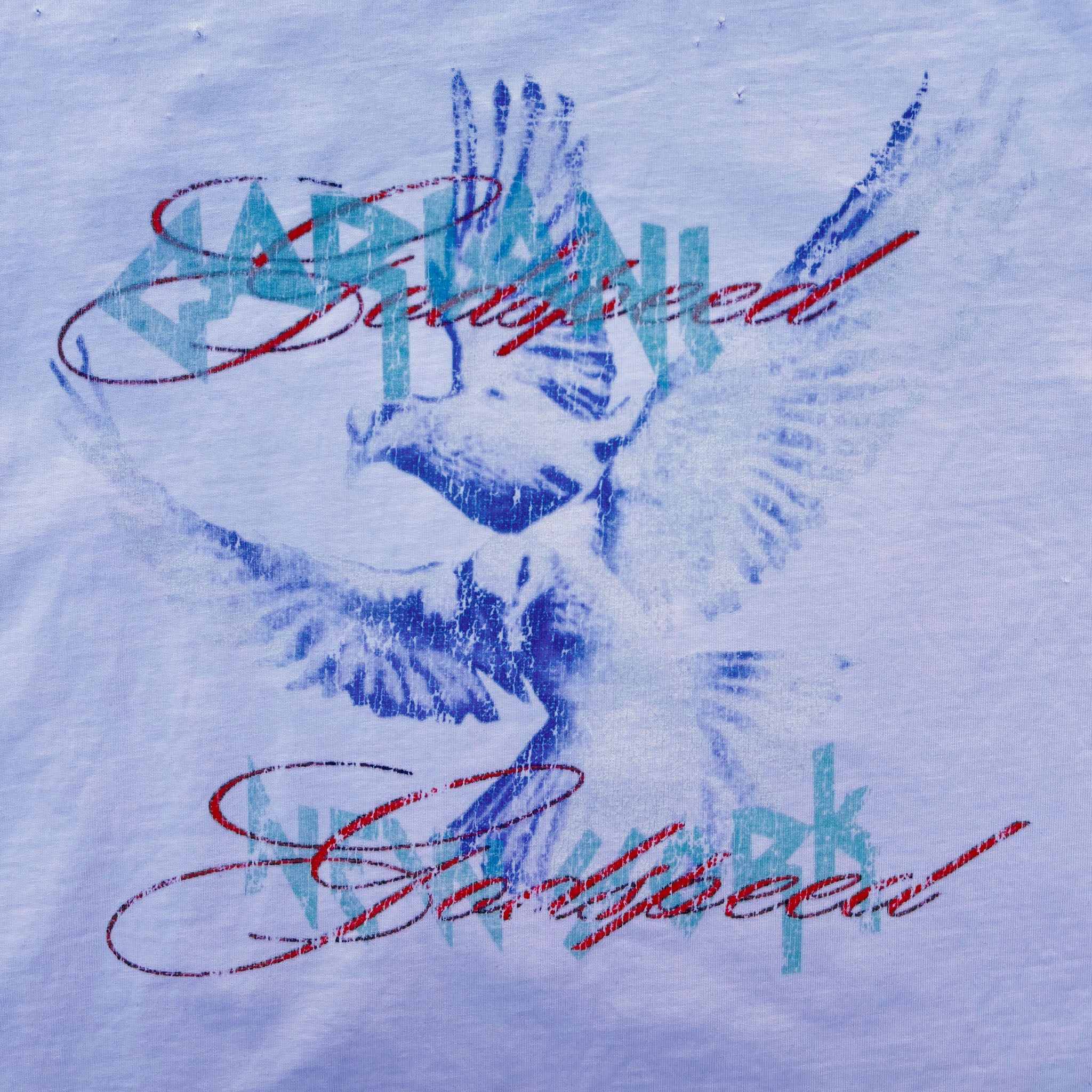 CARIANI® Godspeed Tee