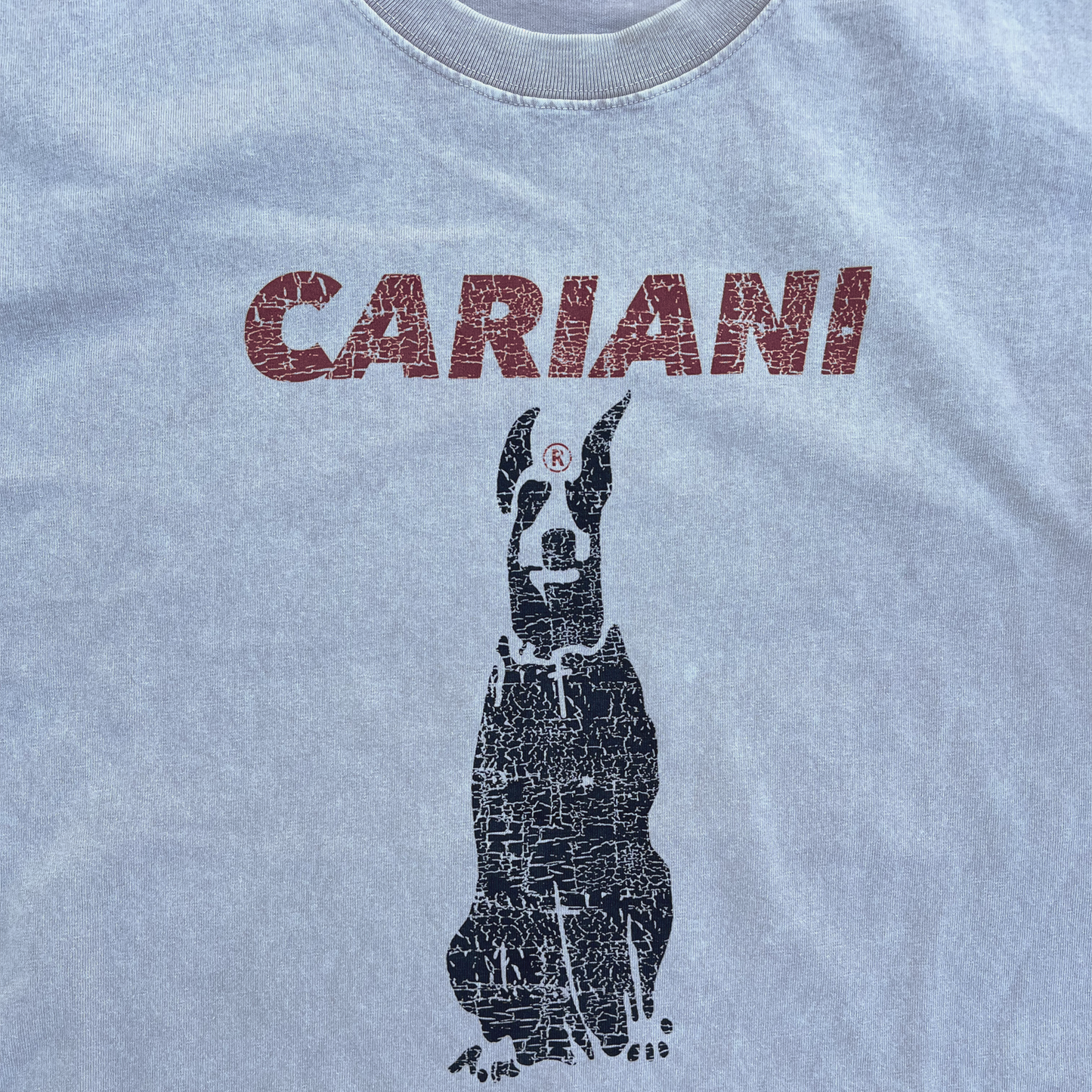 CARIANI® Cracked Dog Tee