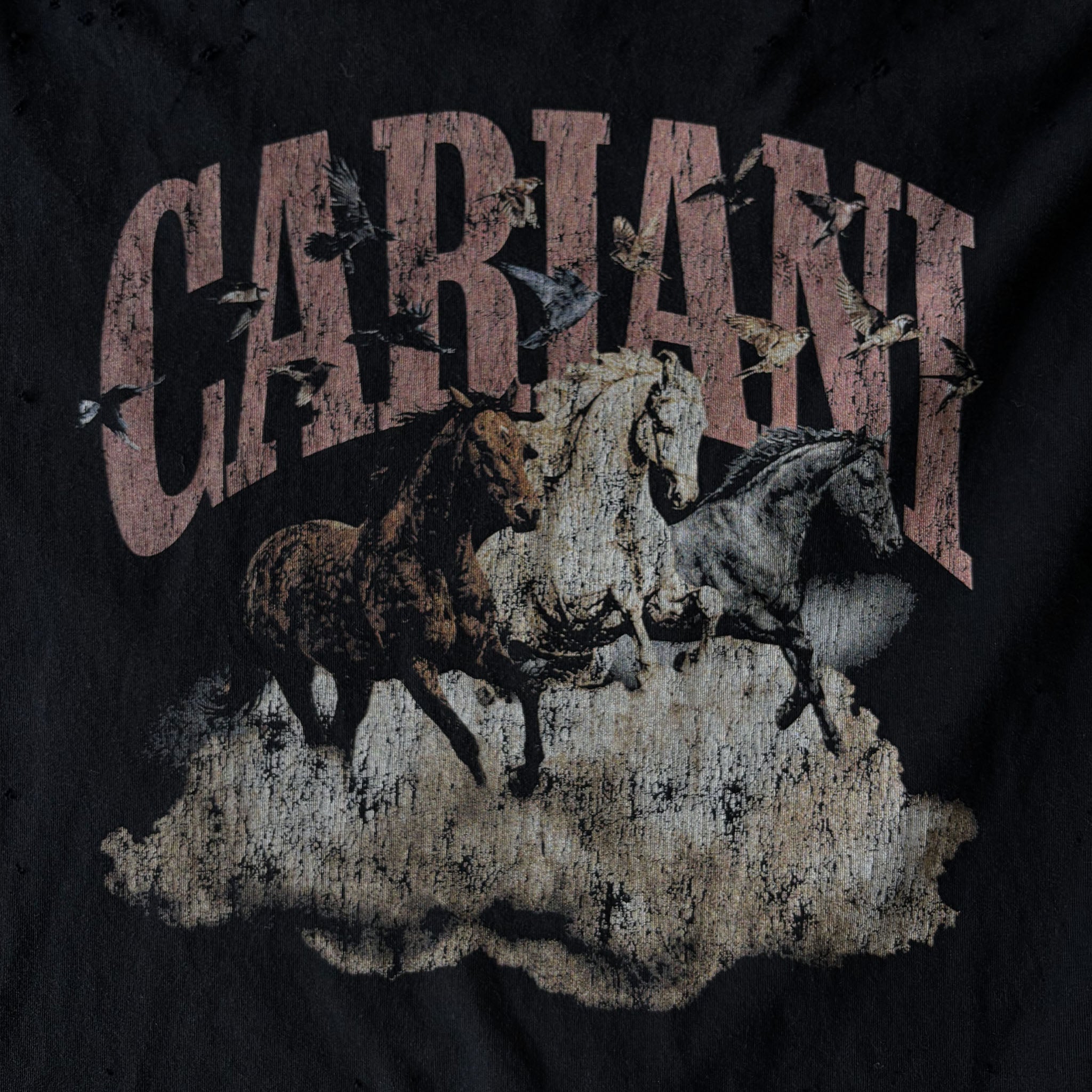 CARIANI® Rodeo Tee